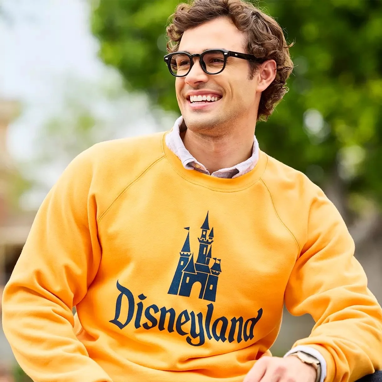 Disneyland 70th Anniversary Vault Collection on Disney Store